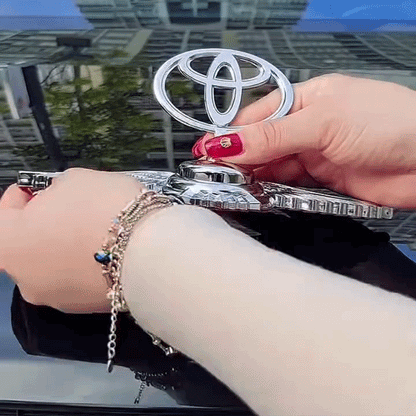 Universal Flying Wings 3D Hood Ornament Metal Car Front Emblem